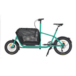 Electric Cargo bike for kids